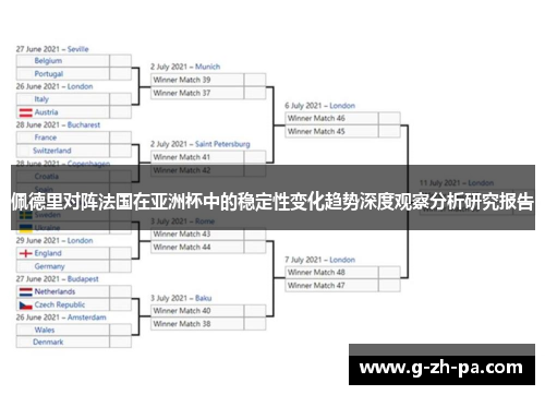 佩德里对阵法国在亚洲杯中的稳定性变化趋势深度观察分析研究报告