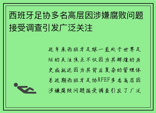 西班牙足协多名高层因涉嫌腐败问题接受调查引发广泛关注 西班牙足协多名高层因涉嫌腐败问题接受调查引发广泛关注
